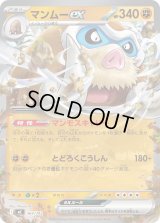マンムーex(ノーマル仕様)【-】{364/742}