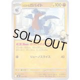 シロナのガバイト【-】{377/742}