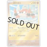 〔状態A-〕ガケガニ(ミラー)【-】{421/742}