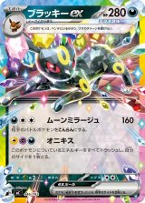 ブラッキーex(ノーマル仕様)【-】{446/742}