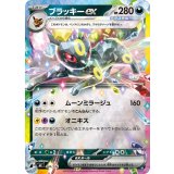 〔状態A-〕ブラッキーex(ミラー)【-】{446/742}