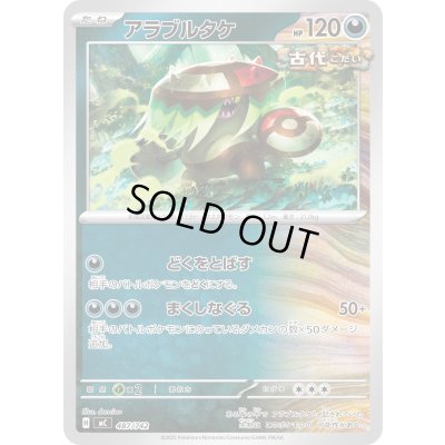 画像1: アラブルタケ【-】{487/742}