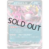 〔状態A-〕キチキギスex(ノーマル仕様)【-】{489/742}