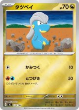 タツベイ(ミラー)【-】{538/742}