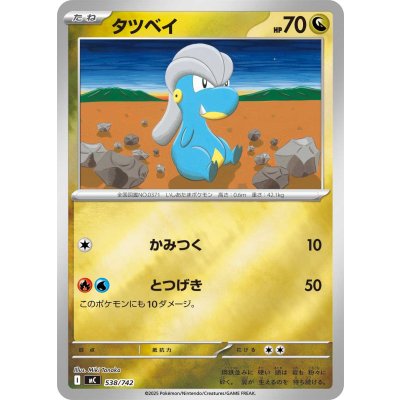 画像1: タツベイ(ミラー)【-】{538/742}