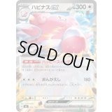 ハピナスex(ノーマル仕様)【-】{562/742}