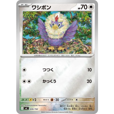 画像1: ワシボン(ミラー)【-】{606/742}