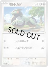 モトトカゲ【-】{627/742}