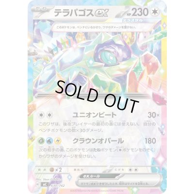 画像1: テラパゴスex(ノーマル仕様)【-】{630/742}