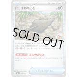 古びたはねの化石【-】{657/742}