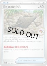 古びたはねの化石【-】{657/742}