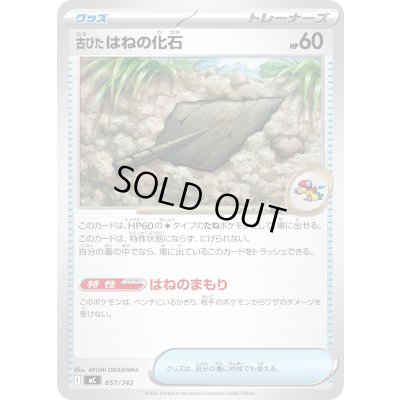 画像1: 古びたはねの化石【-】{657/742}