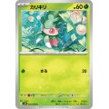 カリキリ【C】{005/098}