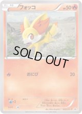 フォッコ【P】{062/XY-P}