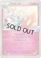 フラエッテ【P】{171/XY-P}