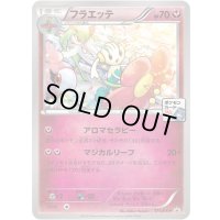 フラエッテ【P】{171/XY-P}