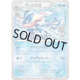 ゲッコウガ【P】{209/XY-P}