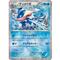 〔状態B〕ゲッコウガ【P】{209/XY-P}