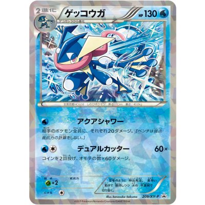 画像1: 〔状態B〕ゲッコウガ【P】{209/XY-P}