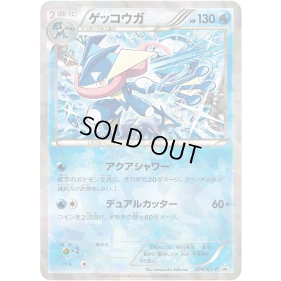 画像1: ゲッコウガ【P】{209/XY-P}