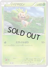 ハリマロン【P】{061/XY-P}