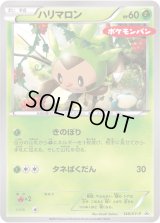 ハリマロン【P】{148/XY-P}