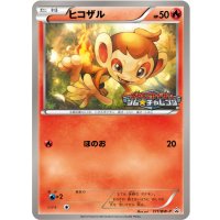 〔状態B〕ヒコザル【P】{171/BW-P}