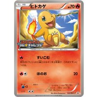 〔状態B〕ヒトカゲ【P】{165/BW-P}