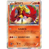 ホウオウ【P】{224/XY-P}