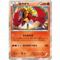 〔状態B〕ホウオウ【P】{224/XY-P}