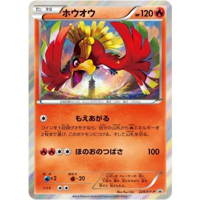 〔状態B〕ホウオウ【P】{224/XY-P}