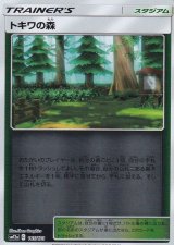〔状態A-〕トキワの森(ミラー)【-】{165/173}