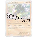 ジガルデ【P】{251/XY-P}