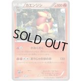 カエンジシ【P】{033/XY-P}