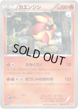 カエンジシ【P】{033/XY-P}