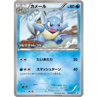 〔状態C〕カメール【P】{166/BW-P}