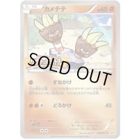 カメテテ【P】{049/XY-P}