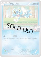 ケロマツ【P】{167/XY-P}