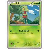 〔状態B〕キモリ【P】{107/XY-P}