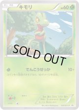 キモリ【P】{107/XY-P}