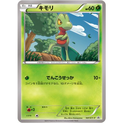 画像1: 〔状態B〕キモリ【P】{107/XY-P}