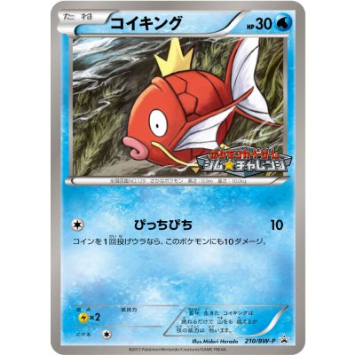 〔状態B〕コイキング【P】{210/BW-P}