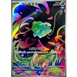 フシギダネ【AR】{064/063}