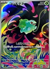 フシギダネ【AR】{064/063}