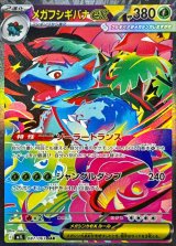 メガフシギバナex【SAR】{087/063}