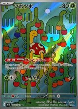 ツボツボ【AR】{064/063}