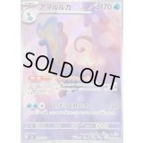 〔状態B〕アマルルガ【AR】{084/080}