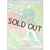 〔状態B〕ジュナイパーex【SR】{093/080}