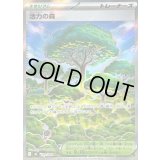 〔状態B〕活力の森【SR】{109/080}