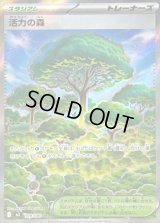 〔状態B〕活力の森【SR】{109/080}